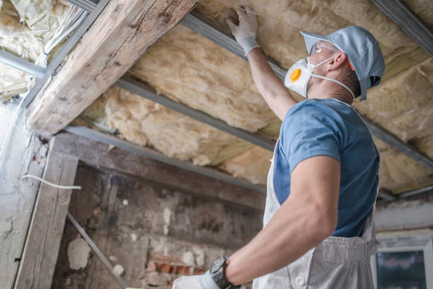 Best Commercial Insulation Services  in Kirby, TX