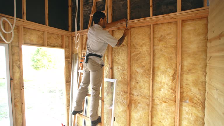 Best Radiant Barrier Insulation  in Kirby, TX