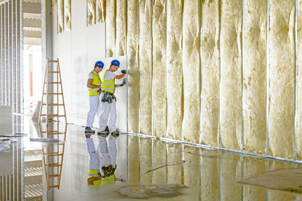 Best Blown-In Insulation  in Kirby, TX